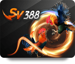 Kinh Nghiệm Chơi 12BET Đá Gà Trực Tiếp Hiệu Quả